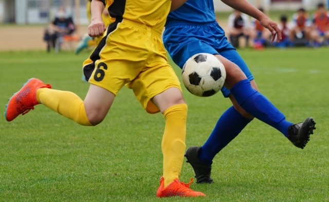 当社は、こんなスポーツ選手をサポートしています。